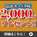 【新規入会でもれなく2,000円分のデジタルギフトもらえる！】ご返済までスマホ完結のカードローンを特別優遇金利でご案内！