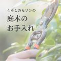 庭木の剪定・除草・芝のお手入れはお任せください!くらしのセゾンの「庭木のお手入れ」が5%OFF!